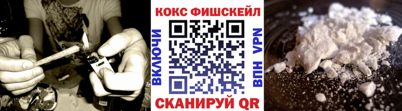 Купить где  Заинск  COCAIN 99% 