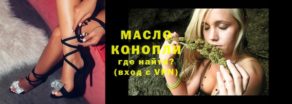 крисы Козельск