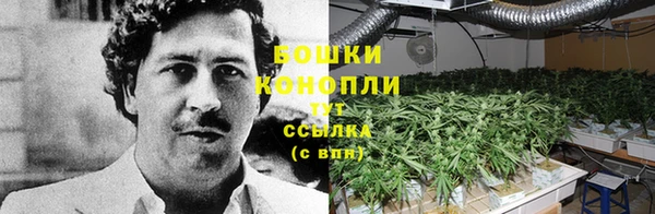 гашик Киренск
