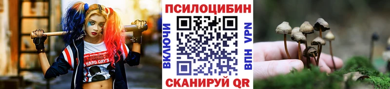 Галлюциногенные грибы ЛСД  Купить где  Заинск 