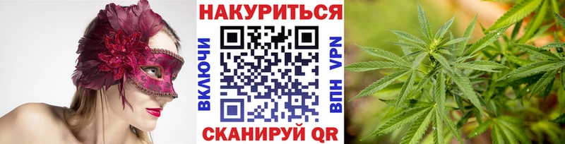 Купить где  Заинск  Каннабис сатива 